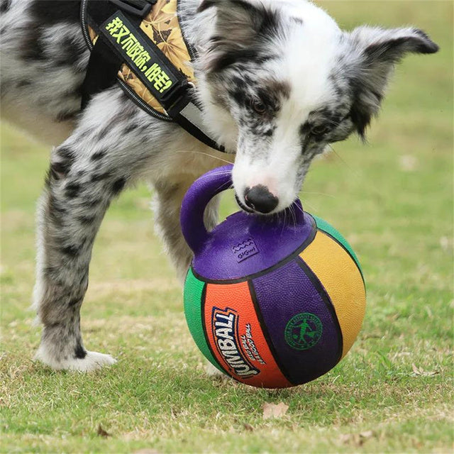ChesTroyPets™ – Pelota Resistente para Perros Tipo Baloncesto/Fútbol