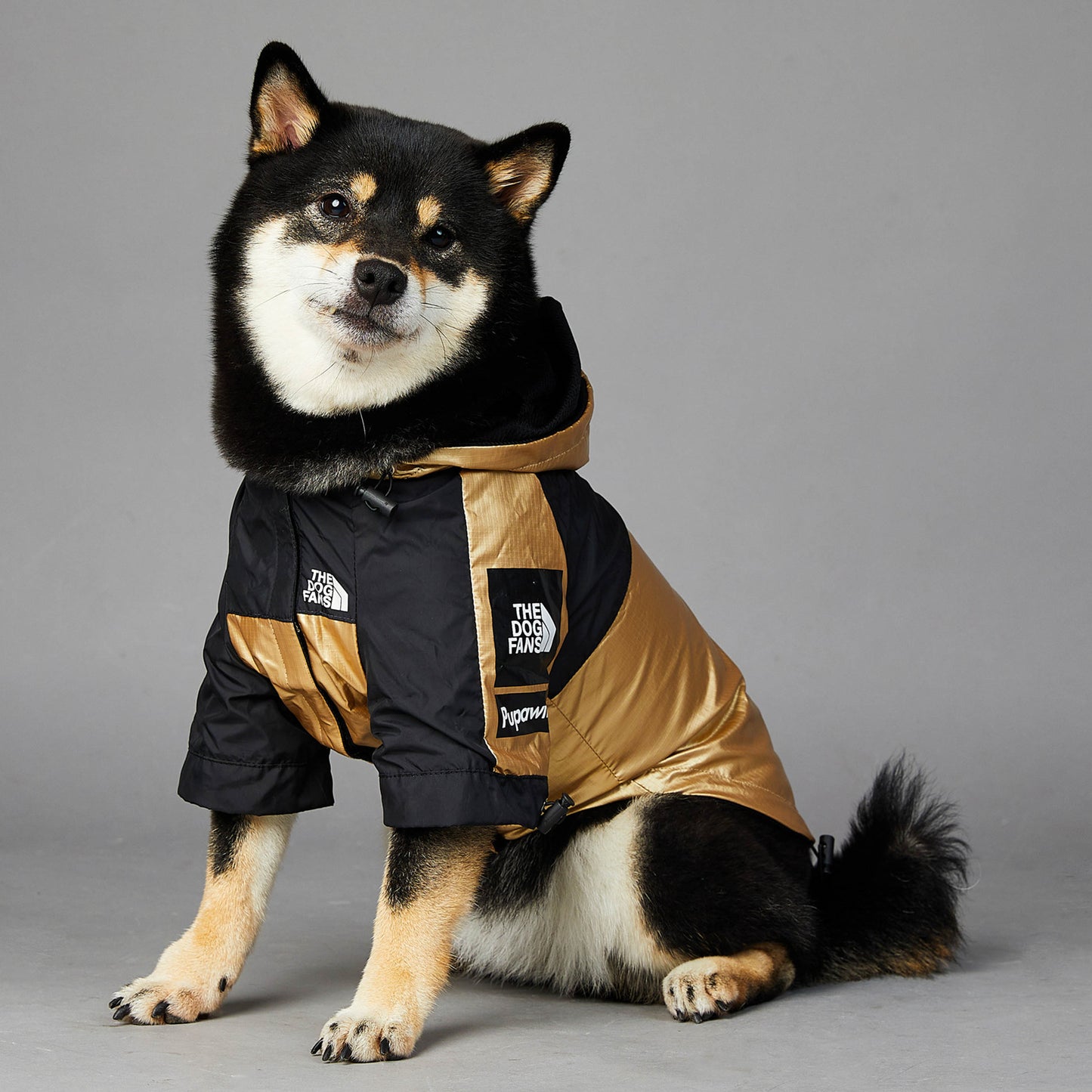 ChesTroyPets™ Impermeable para Perros