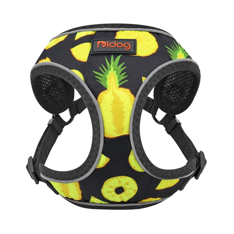 ChesTroyPets FunStyle Geschirr
