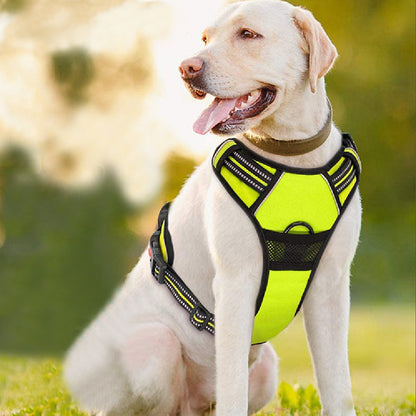 ChesTroyPets Sportgeschirr