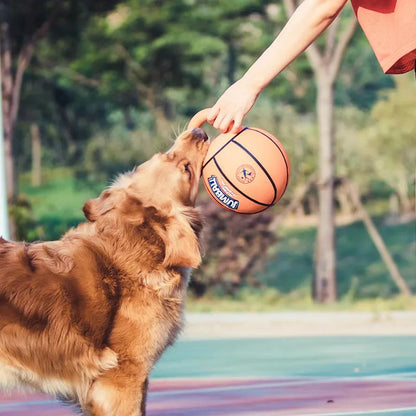 ChesTroyPets™ – Pelota Resistente para Perros Tipo Baloncesto/Fútbol