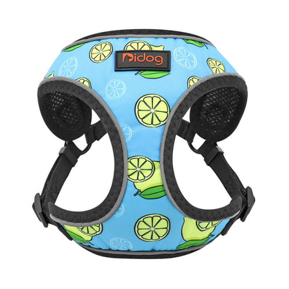 ChesTroyPets FunStyle Geschirr