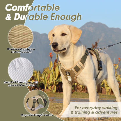 ChesTroyPets Control Pro Geschirr