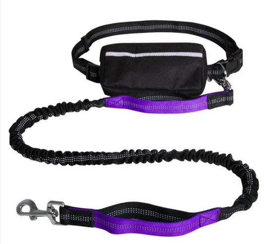 ChesTroyPets™ – Correa Active Run para Perros