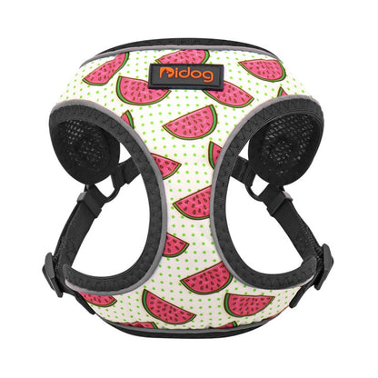 ChesTroyPets FunStyle Geschirr