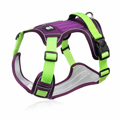 ChesTroyPets Control Pro Geschirr