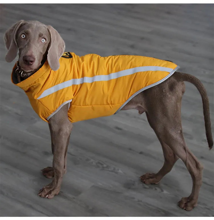 ChesTroyPets™ Chaqueta Térmica Reversible para Perros