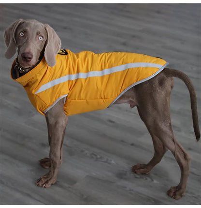 ChesTroyPets™ Chaqueta Térmica Reversible para Perros