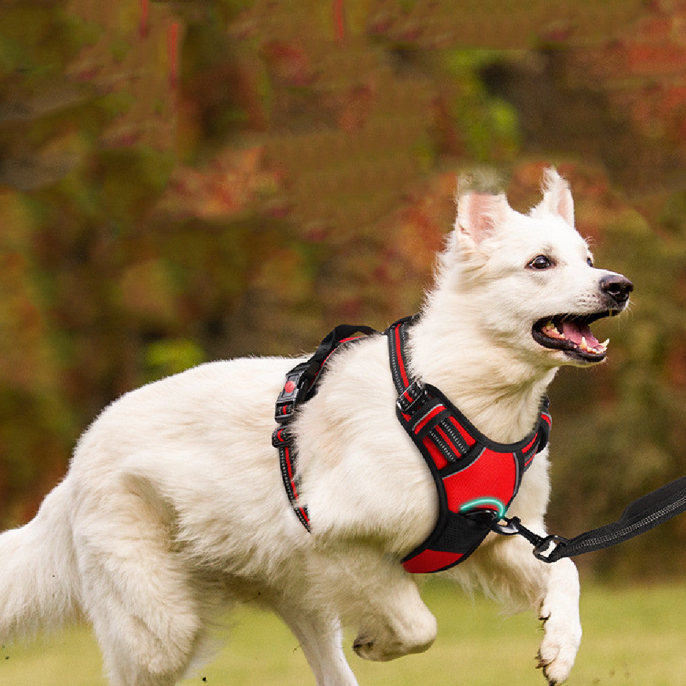 ChesTroyPets Sportgeschirr