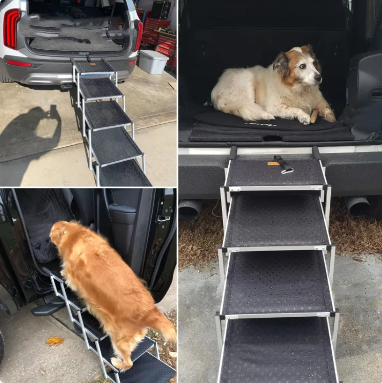 ChesTroyPets ProClimb Rampe
