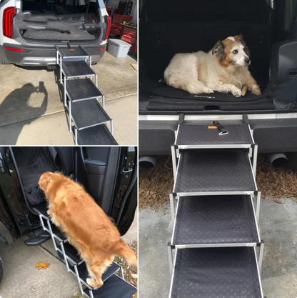 ChesTroyPets ProClimb Rampe