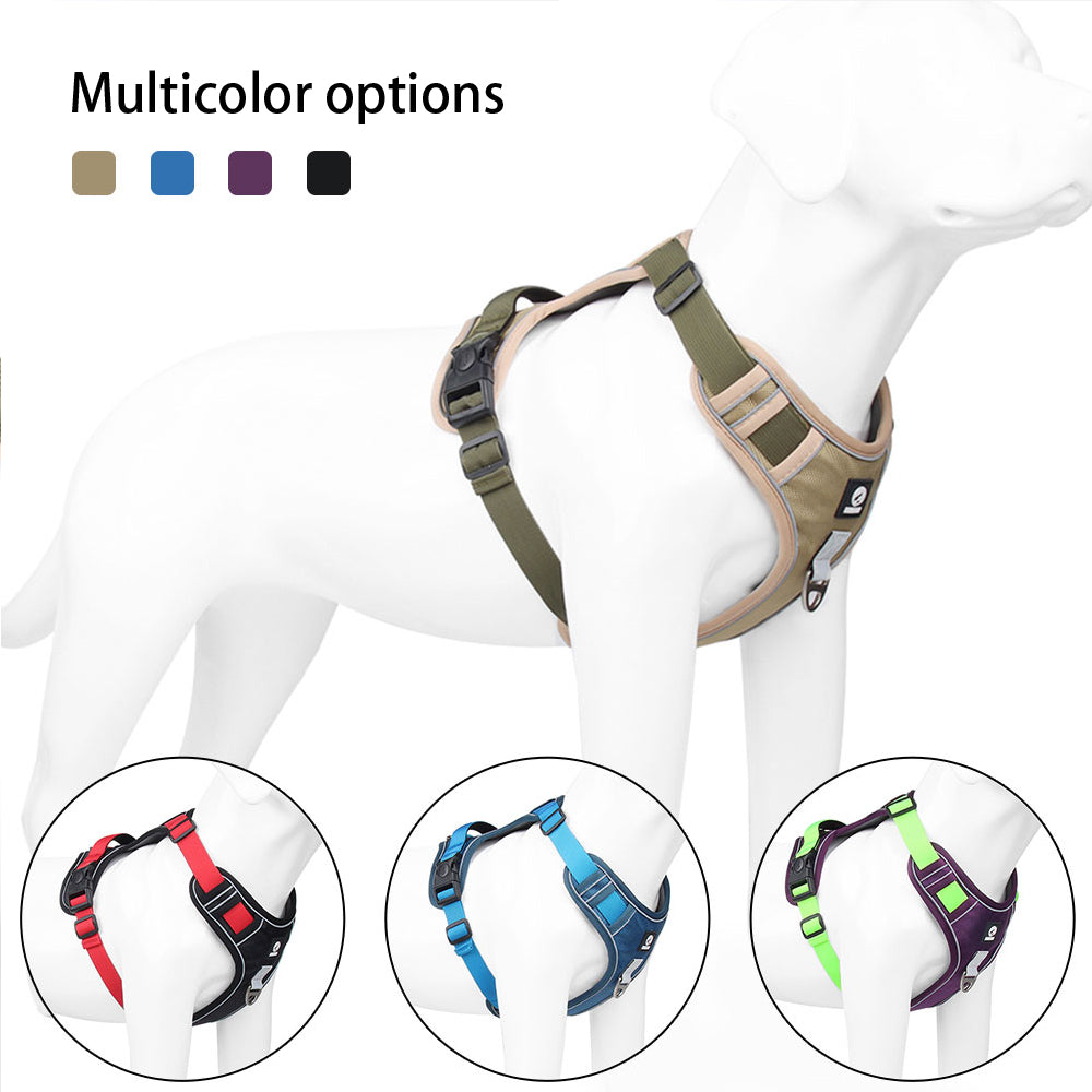 ChesTroyPets Control Pro Geschirr