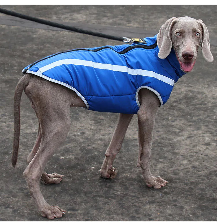 ChesTroyPets™ Chaqueta Térmica Reversible para Perros
