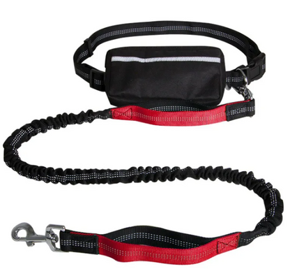 ChesTroyPets™ – Correa Active Run para Perros