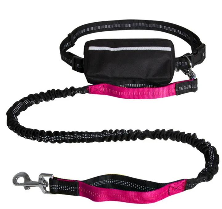 ChesTroyPets™ – Correa Active Run para Perros