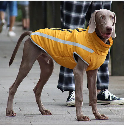ChesTroyPets™ Chaqueta Térmica Reversible para Perros