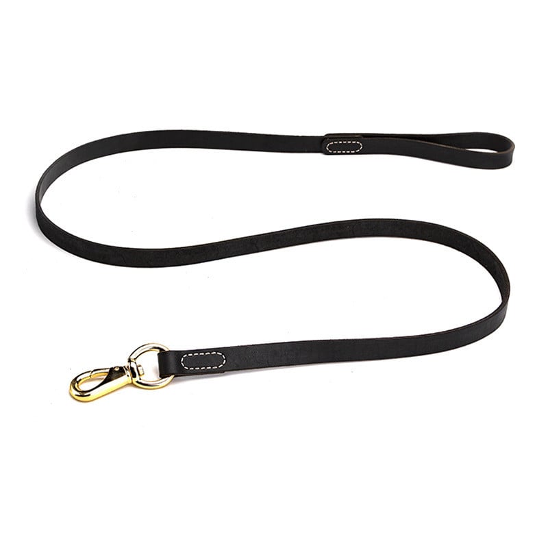 ChesTroyPets™ – Correa de Cuero de Piel para Perros