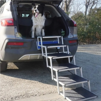 ChesTroyPets ProClimb Rampe