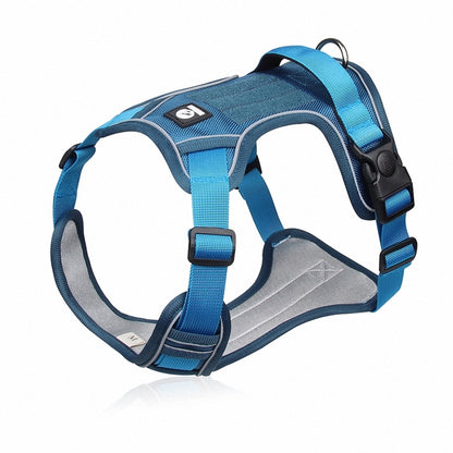 ChesTroyPets Control Pro Geschirr