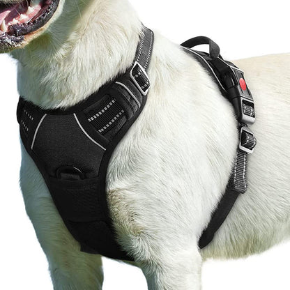 ChesTroyPets Sportgeschirr