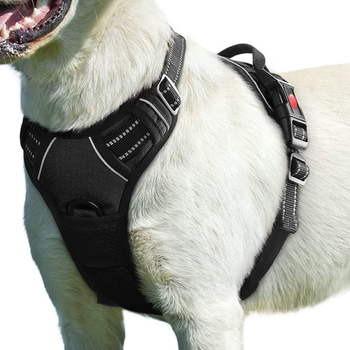 ChesTroyPets Sportgeschirr